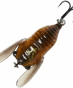 Savage Gear 3D Cicada Lure Lures -Dynamite Baits Online Store Savage Gear 3D Cicada Lure 3