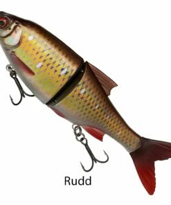 Savage Gear 3D Roach Shine Glider PHP Lures -Dynamite Baits Online Store ruud alternative
