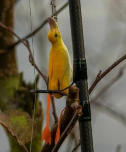 Savage Gear 3D Hollow Duckling Lures -Dynamite Baits Online Store savage gear 3d hollow duckling 3