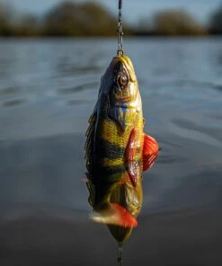 Savage Gear 4D Perch Shad Lure Lures 13 Savage Gear 4D Perch Shad Lure Lures -Dynamite Baits Online Store savage gear 4d perch shad 17.5cm 75g ss 2