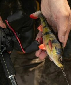 Savage Gear 4D Perch Shad Lure Lures 14 Savage Gear 4D Perch Shad Lure Lures -Dynamite Baits Online Store savage gear 4d perch shad 17.5cm 75g ss 3