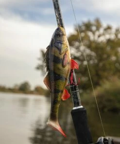 Savage Gear 4D Perch Shad Lure Lures 15 Savage Gear 4D Perch Shad Lure Lures -Dynamite Baits Online Store savage gear 4d perch shad 17.5cm 75g ss 4