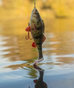 Savage Gear 4D Perch Shad Lure Lures 16 Savage Gear 4D Perch Shad Lure Lures -Dynamite Baits Online Store savage gear 4d perch shad 17.5cm 75g ss 5