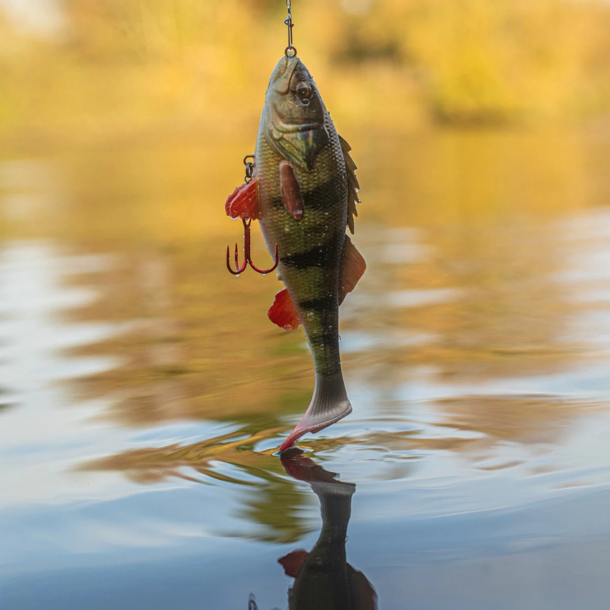 Savage Gear 4D Perch Shad Lure Lures 8 Savage Gear 4D Perch Shad Lure Lures - Image 8