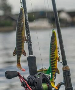 Savage Gear 4D Pike Shad Lure Lures -Dynamite Baits Online Store savage gear 4d pike shad lure 4