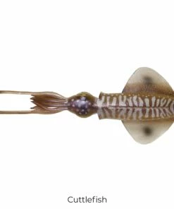 Savage Gear Savage Salt 3D LB Swim Squid Lure 12.5cm Lures -Dynamite Baits Online Store savage salt 3d lb swim squid lure 12 5cm cuttlefish 1 1